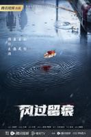 风过留痕电视剧免费观看全集高清完整版